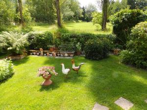 Ogród w obiekcie Villa Blu