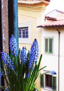 un montón de flores púrpuras delante de un edificio en Appartamento in via San Gallo, en Florencia
