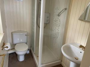 a bathroom with a shower and a toilet and a sink at The Baby House @ Wood Quay, Carlingford in Carlingford