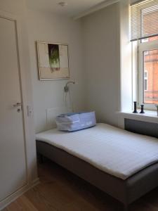 a bed in a room with a window at 12 Torvegade. 1 door 4. (id.154) in Esbjerg