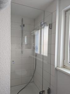 リンダウにあるLAGO Ferienwohnungen - GRÜNのバスルーム(ガラスドア付きのシャワー付)