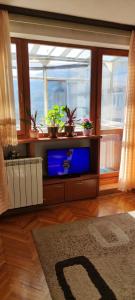 a living room with a large window with potted plants at Stan Uzice in Užice