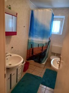 bagno con lavandino e tenda doccia di Ferienwohnung in Arzberg 1 ad Arzberg