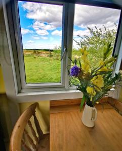 un vaso di fiori seduto sul davanzale di una finestra di Bluebell a Newton Stewart