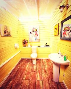 a yellow bathroom with a toilet and a sink at Bluebell in Newton Stewart