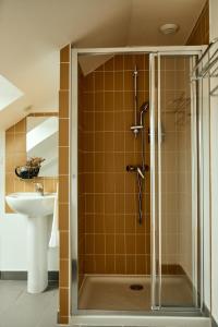 a bathroom with a shower and a sink at La Maison du Gasseau in Saint-Léonard-des-Bois