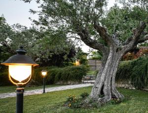 Zahrada ubytování HURZ - giardino sannita
