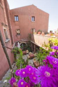 Zahrada ubytování Hotel Elimo