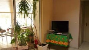 sala de estar con TV y mesa con plantas en Propriete d'une chambre avec jardin clos et wifi a La Mothe Saint Heray, en La Mothe-Saint-Héray