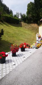 Zahrada ubytování Haus am Fuße des Semmerings