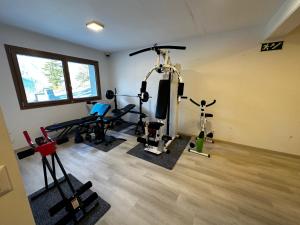 una habitación con un gimnasio con pesas y máquinas de correr en Résidence Spa Les Louettes 4 étoiles à Sapinhaut Canton du Valais, en Saxon