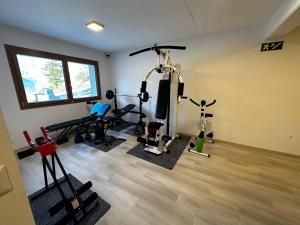 a room with a gym with weights and tread machines at Résidence Spa Les Louettes 4 étoiles à Sapinhaut Canton du Valais in Saxon
