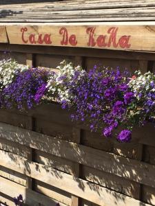 a bunch of purple flowers on a wooden wall at CasaDeKaMa in Evergem