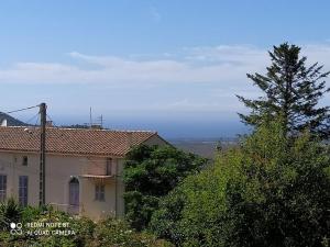 ein Haus mit einem Baum davor in der Unterkunft Duplex avec jardin, proche village in Calenzana