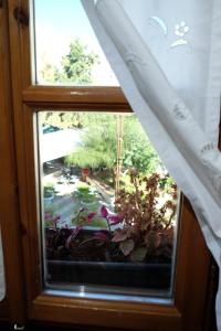 a window with a view of a garden at Tebeu coffe and bar in Vlorë