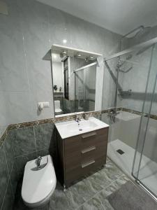 uma casa de banho com um WC, um lavatório e um chuveiro em Precioso apartamento a estrenar en Bilbao. em Bilbao