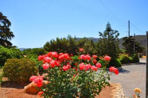 a bush of red roses in a garden at Lagos Studios & Apartments in Palekastron