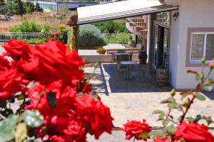 a bunch of red flowers in front of a house at Lagos Studios & Apartments in Palekastron