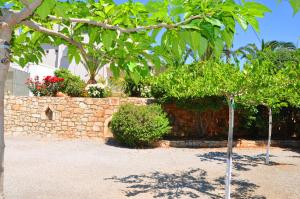 a garden with a stone wall and trees and plants at Lagos Studios & Apartments in Palekastron