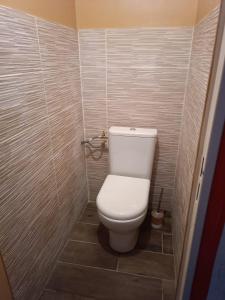 a bathroom with a white toilet in a tiled room at Plein centre ville Appartement in Salon-de-Provence +3 photos