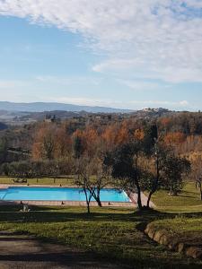 een zwembad in een veld met bomen bij Antiqua Vallis in Palaia