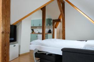 a bedroom with a bed and a tv in a room at Spatzennest in Spiez