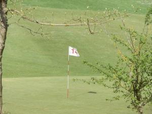 a golf course with a white flag on a golf course at Les Belleme Golf - Self-catering Apartments in Bellême
