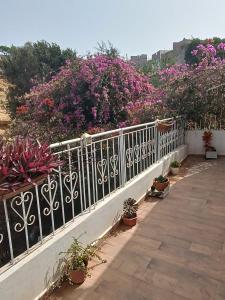 En balkong eller terrasse på SamyHouse