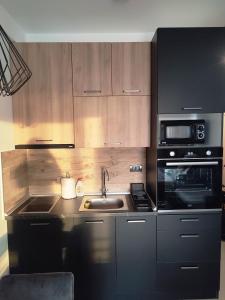 eine Küche mit einer Spüle und einer Mikrowelle in der Unterkunft NLux46 Milmari in Kopaonik