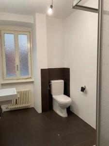 La salle de bains est pourvue de toilettes et d'un lavabo. dans l'établissement Meraviglioso appartamento fronte lago, à Bissone