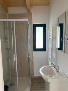 a bathroom with a shower and a sink at Cabanele Olena in Borsa