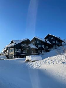 un grupo de casas cubiertas de nieve delante en Geilo-Kikut, ski in-ski out, nydelige skiløyper og flott beliggenhet en Geilo