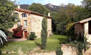 ein Steinhaus mit einem Baum im Hof in der Unterkunft Can Pedragos in Sales del Llierca