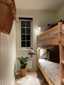 a bedroom with two bunk beds and a potted plant at Geilo-Kikut, ski in-ski out, nydelige skiløyper og flott beliggenhet in Geilo