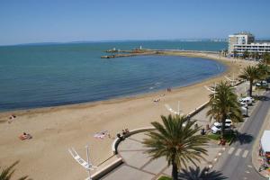 a beach with palm trees and the ocean and a pier at Hôtel Restaurant Splendid Camargue in Le Grau-du-Roi