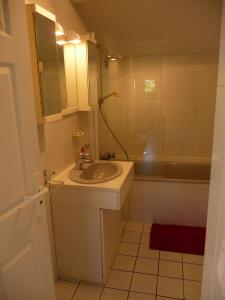 a small bathroom with a sink and a shower at Appartement Ranavalo Pays Basque in Anglet