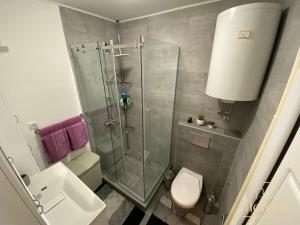 a bathroom with a shower and a toilet and a sink at Moment Apartman Vrsac in Vršac