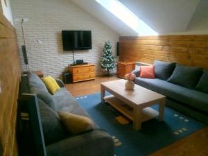 Televízia a/alebo spoločenská miestnosť v ubytovaní SKI&SUN - Apartmán B11