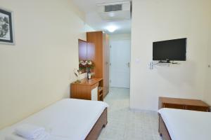 TV in/ali zabaviščno središče v nastanitvi Hotel Podostrog
