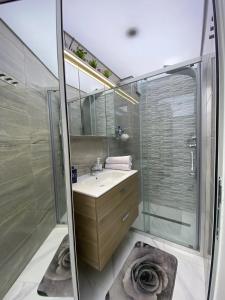 ein Bad mit einem Waschbecken und einer Dusche in der Unterkunft Apart72 - Modern and Cosy in Warna