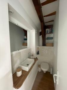 a bathroom with a sink and a toilet at La Chouette du lac Marion in Biarritz +25 photos