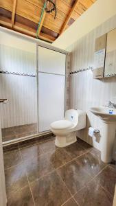 a bathroom with a toilet and a sink at Coco Loco Lodge in El Valle