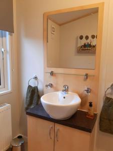 ein Badezimmer mit einem weißen Waschbecken und einem Spiegel in der Unterkunft Sycamore Lodge Auchterarder in Auchterarder