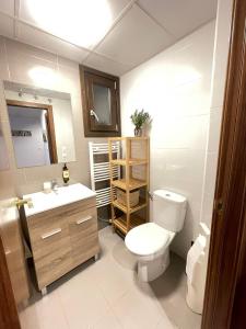 ein Badezimmer mit Toilette, Waschbecken und Spiegel in der Unterkunft Rincon de Pepo in Villanúa