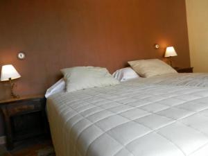 a bedroom with a large white bed and two lamps at CASA REBOLLARES IIBIS in Piedralaves