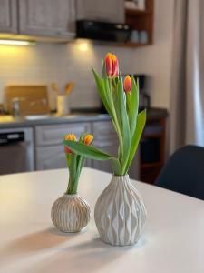 zwei Vasen mit Blumen auf dem Tisch in der Unterkunft St. Martin -1801- Ferienwohnungen in Sankt Martin