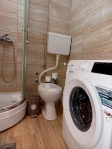 ein Badezimmer mit einem WC und einer Waschmaschine in der Unterkunft Apartment Alex 4 in Belgrad
