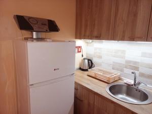 eine Küche mit einem weißen Kühlschrank und einer Spüle in der Unterkunft Apartment Alex 4 in Belgrad
