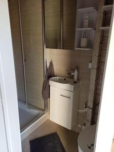 a bathroom with a shower and a sink and a toilet at Ferienhaus kleines Ostseeglück in Brodersby