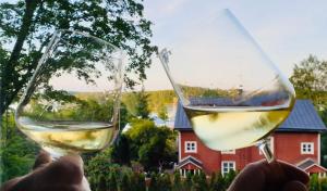 une personne tenant deux verres de vin blanc dans l'établissement Idyllic sea view house, à Porvoo